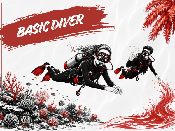 Basic Diver